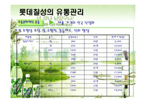 [경영학] [유통관리론]국내 음료시장 현황 및 `롯데칠성` 유통전략 분석(A+리포트)-20
