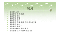 필리핀ppt 레포트-2