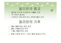 필리핀ppt 레포트-16