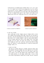 전기영동 레포트-6