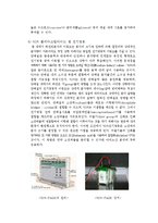 전기영동 레포트-10