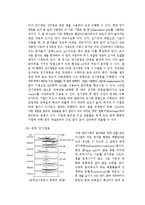 전기영동 레포트-12