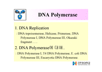 DNA Polymerase(DNA 중합효소)-2