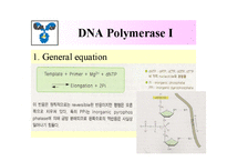DNA Polymerase(DNA 중합효소)-9
