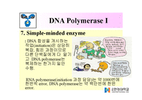 DNA Polymerase(DNA 중합효소)-17