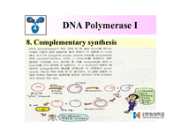 DNA Polymerase(DNA 중합효소)-18