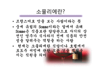 [호텔경영] 소믈리에&바텐더 직업에 대한 ppt-2