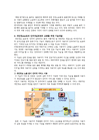 [인터넷실명제] 인터넷 실명제 실시에 대한 찬반론-13
