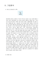 [광고경영론] 해지스(HAZZYS)의 공격적인 광고전략-7