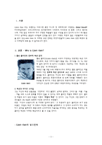 [광고경영론] 캘빈클라인(Calvin Klein) 광고전략분석-3