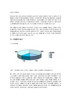 [세일즈마케팅] 아이리버 생산업체 레인콤의 마케팅전략 사례-6