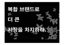 [광고크리에이티브] 하우젠기획서-9