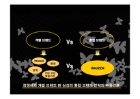 [광고크리에이티브] 하우젠기획서-17