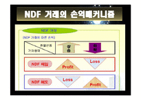 [재무관리] NDF 시장 분석-10