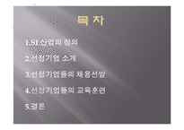 [인적자원관리] SI(System Integration)산업-2