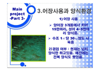 [양식경영론] 일광의 넙치 양식장 영남수산-14