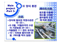[양식경영론] 일광의 넙치 양식장 영남수산-15