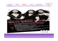 [세일즈마케팅] 케라시스(Kerasys) 마케팅전략-15