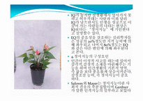 [실기교육방법론] 정서지능(EMOTIONAL INTELLIGENCE)-8