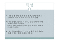 [특수교육] 자폐아-6