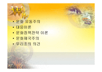 [세계화와문화정책] 문화정책전략이론-2