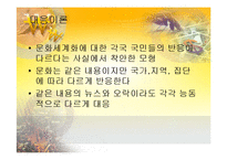 [세계화와문화정책] 문화정책전략이론-6