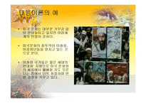 [세계화와문화정책] 문화정책전략이론-7