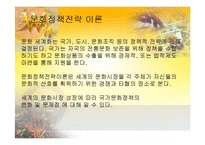[세계화와문화정책] 문화정책전략이론-8