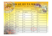 [세계화와문화정책] 문화정책전략이론-9
