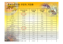 [세계화와문화정책] 문화정책전략이론-10