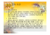 [세계화와문화정책] 문화정책전략이론-14