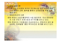 [세계화와문화정책] 문화정책전략이론-15