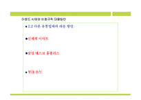 [기업사회정책론] 이랜드사태와 비정규직 대응방안-5