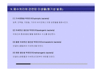 [생물학] 미생물을 이용한 폐수처리-17