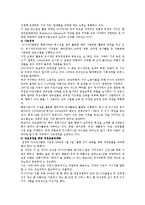 [마케팅원론] 아시아나항공의 성공전략-10