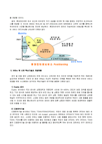 [e비즈니스] [e비즈니스]와이브로(Wibro)의 정의와 시장현황 및 활성화방안(A+리포트)-6