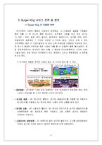 [경영학] [마케팅조사]`버거킹` 마케팅전략 분석 및 향후 발전전략(A+리포트)-9