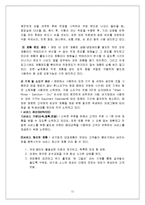 [경영학] [마케팅조사]`버거킹` 마케팅전략 분석 및 향후 발전전략(A+리포트)-11