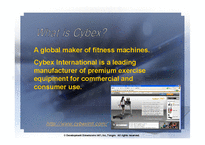 EC와 ERP 통합 -Cybex-4