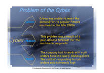 EC와 ERP 통합 -Cybex-5