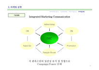 [타운하우스 사업계획서] 용인시 양지면 타운하우스 사업계획서-17