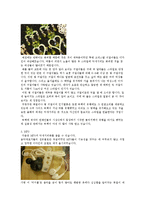 [패션, 장신구, 악세서리, 여성] 최신 유행 패션 악세서리-2
