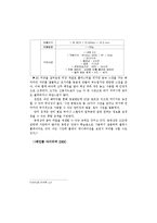 [유통마케팅] 레인콤의 전자사전 중국 진출 전략-8
