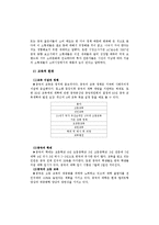 [유통마케팅] 레인콤의 전자사전 중국 진출 전략-12