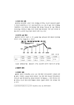 [유통마케팅] 레인콤의 전자사전 중국 진출 전략-14
