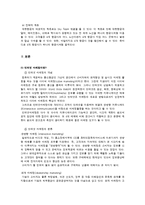 [마케팅원론] 대한항공 인터넷 마케팅-11