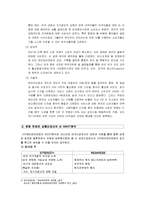 [국제마케팅] 비의 스타마케팅과 JYP Entertainment의 해외진출 사례-5