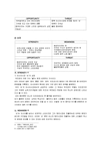 [국제마케팅] 비의 스타마케팅과 JYP Entertainment의 해외진출 사례-6