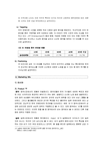 [국제마케팅] 비의 스타마케팅과 JYP Entertainment의 해외진출 사례-10