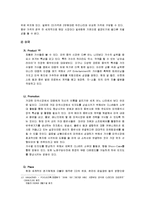 [국제마케팅] 비의 스타마케팅과 JYP Entertainment의 해외진출 사례-12